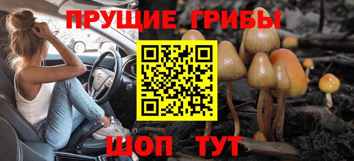 Галлюциногенные грибы ЛСД  хочу наркоту  Шарыпово  Вход с VPN 
